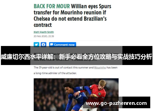 威廉切尔西水平详解：新手必看全方位攻略与实战技巧分析