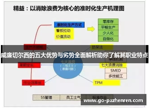 威廉切尔西的五大优势与劣势全面解析助你了解其职业特点