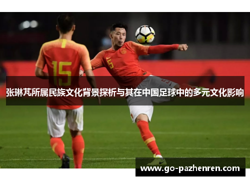张琳芃所属民族文化背景探析与其在中国足球中的多元文化影响 张琳芃所属民族文化背景探析与其在中国足球中的多元文化影响