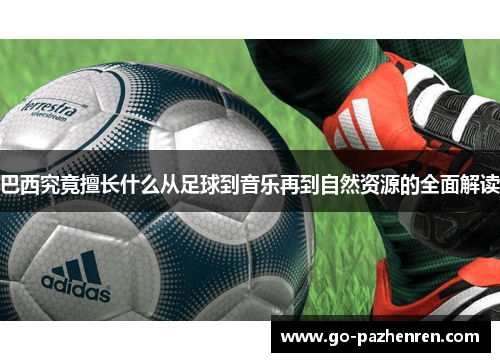 巴西究竟擅长什么从足球到音乐再到自然资源的全面解读