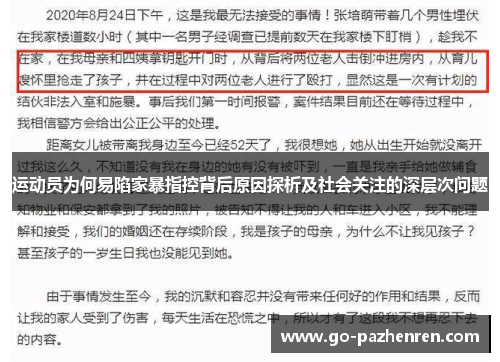运动员为何易陷家暴指控背后原因探析及社会关注的深层次问题