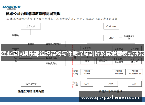 建业足球俱乐部组织结构与性质深度剖析及其发展模式研究