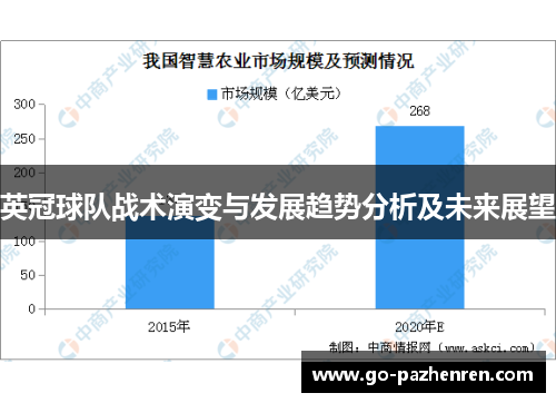 英冠球队战术演变与发展趋势分析及未来展望